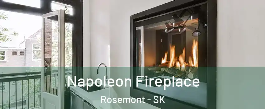  Napoleon Fireplace Rosemont - SK