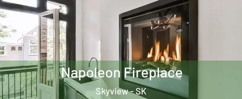  Napoleon Fireplace Skyview - SK