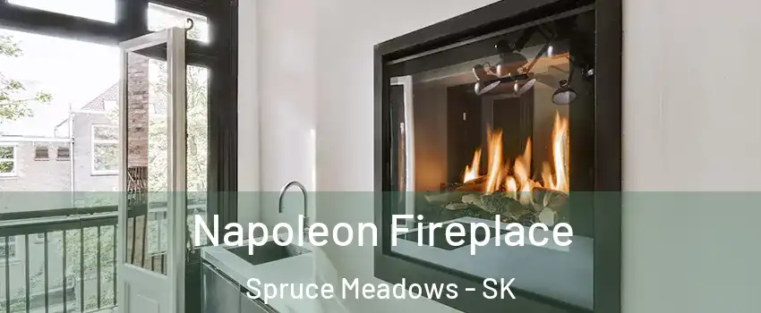  Napoleon Fireplace Spruce Meadows - SK