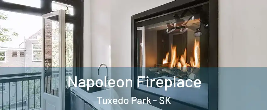  Napoleon Fireplace Tuxedo Park - SK