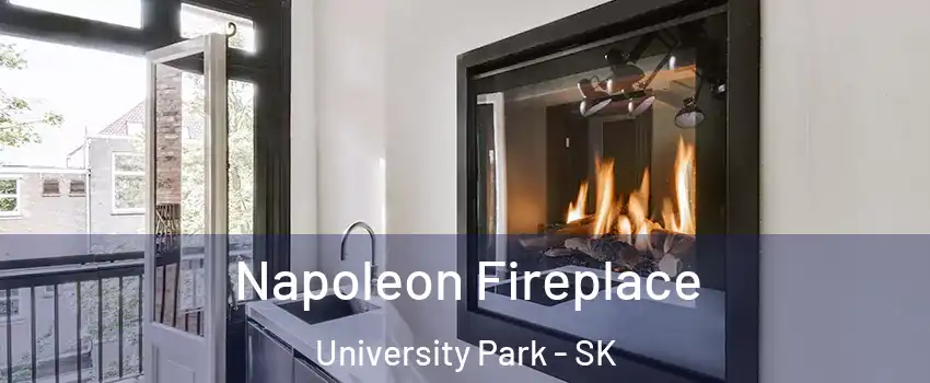  Napoleon Fireplace University Park - SK