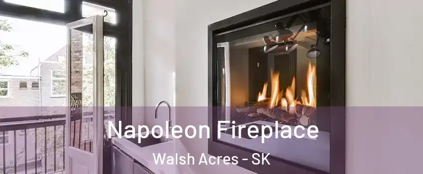  Napoleon Fireplace Walsh Acres - SK