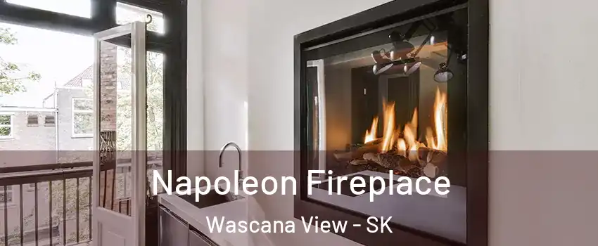  Napoleon Fireplace Wascana View - SK