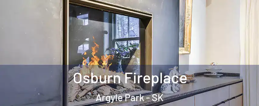  Osburn Fireplace Argyle Park - SK