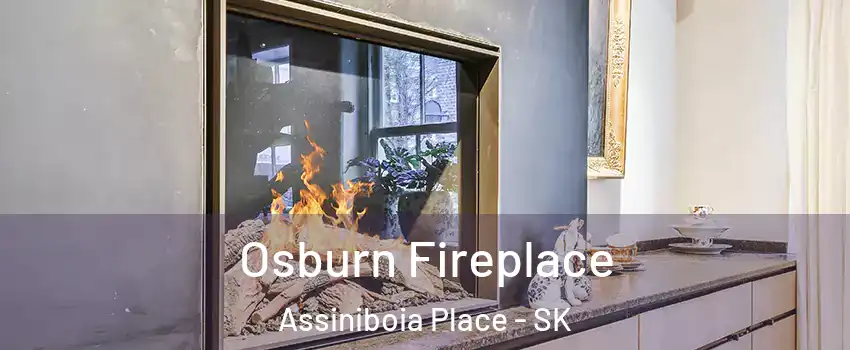  Osburn Fireplace Assiniboia Place - SK