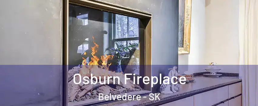  Osburn Fireplace Belvedere - SK