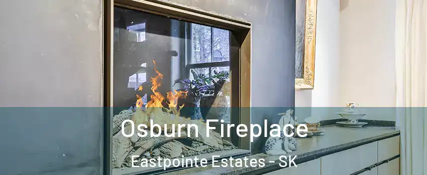  Osburn Fireplace Eastpointe Estates - SK