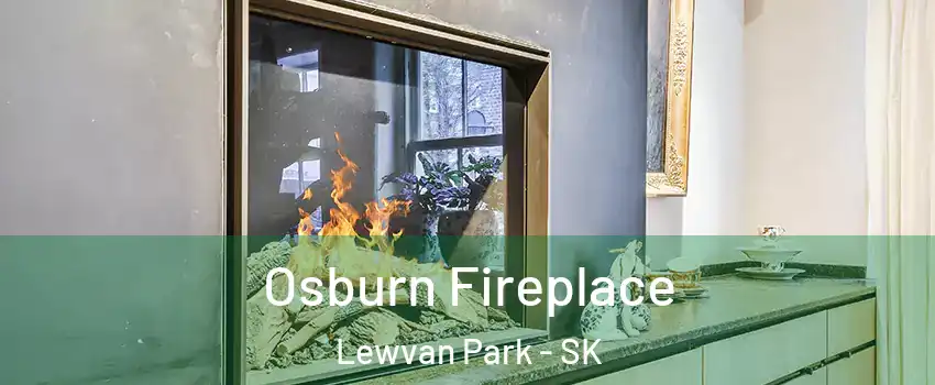  Osburn Fireplace Lewvan Park - SK