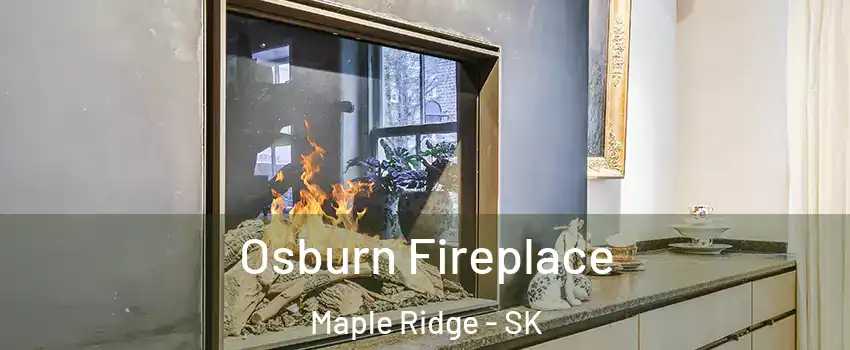  Osburn Fireplace Maple Ridge - SK