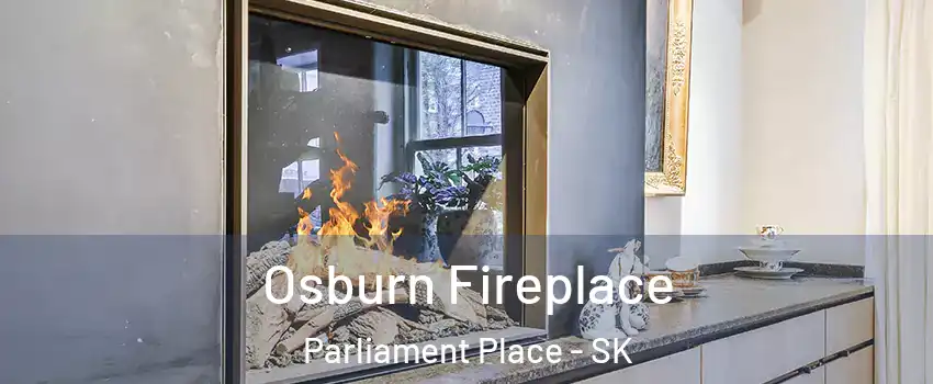  Osburn Fireplace Parliament Place - SK