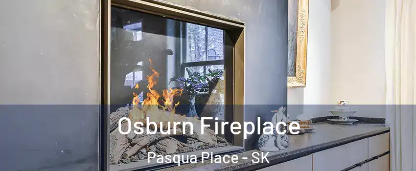  Osburn Fireplace Pasqua Place - SK