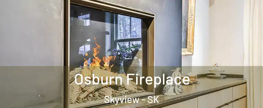  Osburn Fireplace Skyview - SK