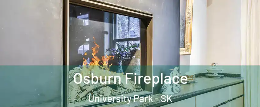  Osburn Fireplace University Park - SK