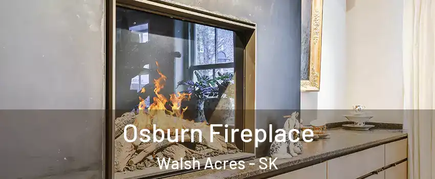  Osburn Fireplace Walsh Acres - SK
