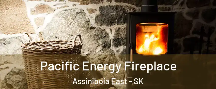  Pacific Energy Fireplace Assiniboia East - SK