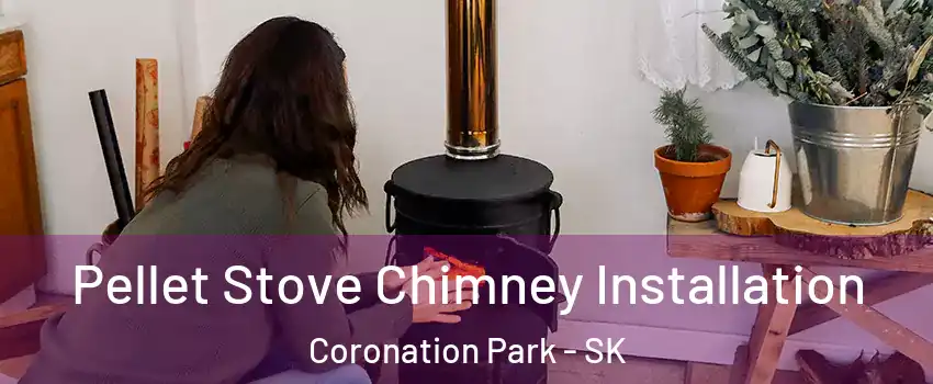  Pellet Stove Chimney Installation Coronation Park - SK