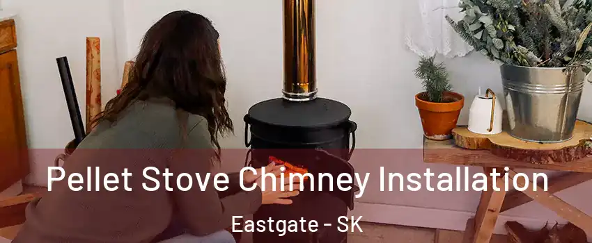  Pellet Stove Chimney Installation Eastgate - SK