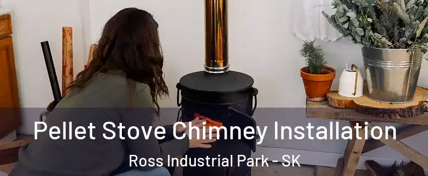  Pellet Stove Chimney Installation Ross Industrial Park - SK