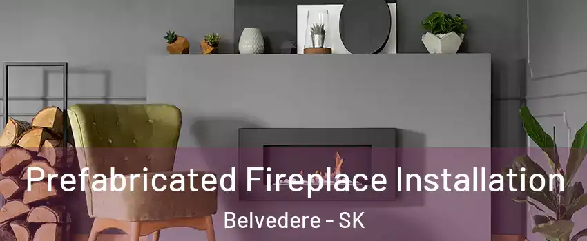  Prefabricated Fireplace Installation Belvedere - SK
