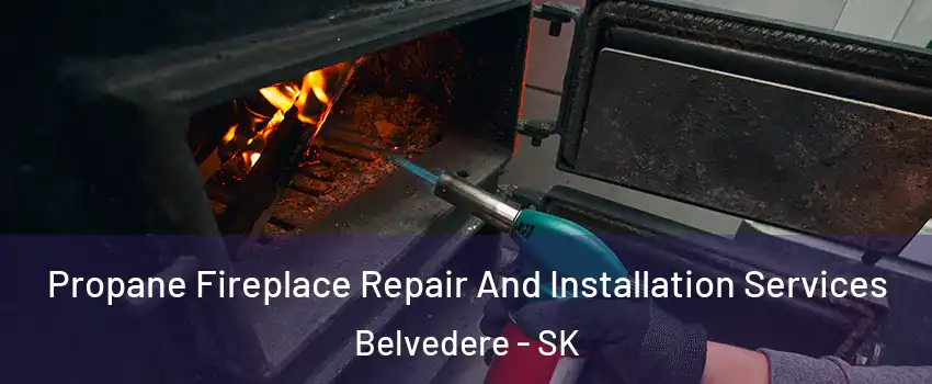 Propane Fireplace Repair And Installation Services Belvedere - SK