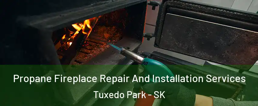 Propane Fireplace Repair And Installation Services Tuxedo Park - SK