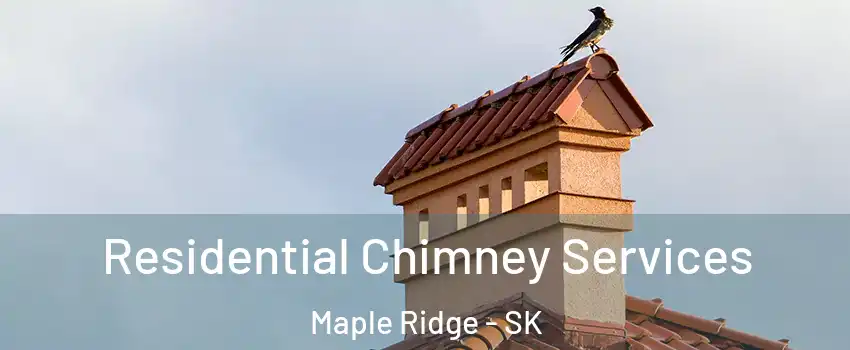  Residential Chimney Services Maple Ridge - SK