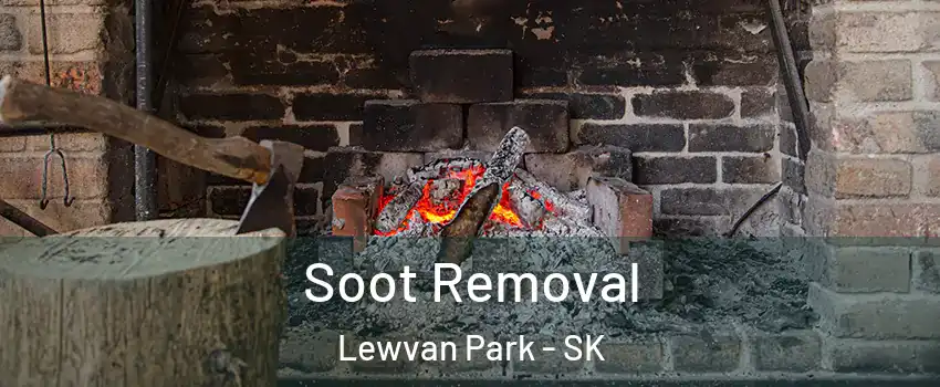 Soot Removal Lewvan Park - SK