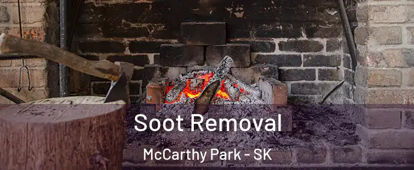  Soot Removal McCarthy Park - SK