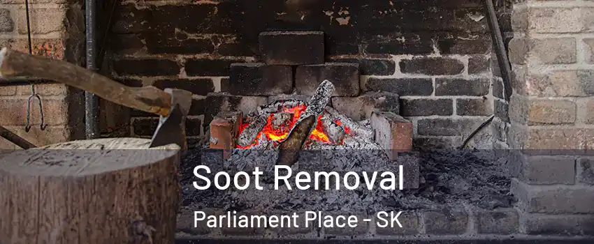  Soot Removal Parliament Place - SK