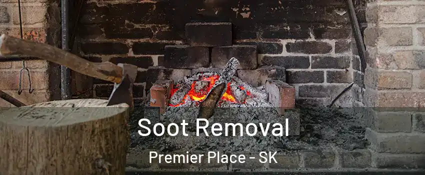  Soot Removal Premier Place - SK
