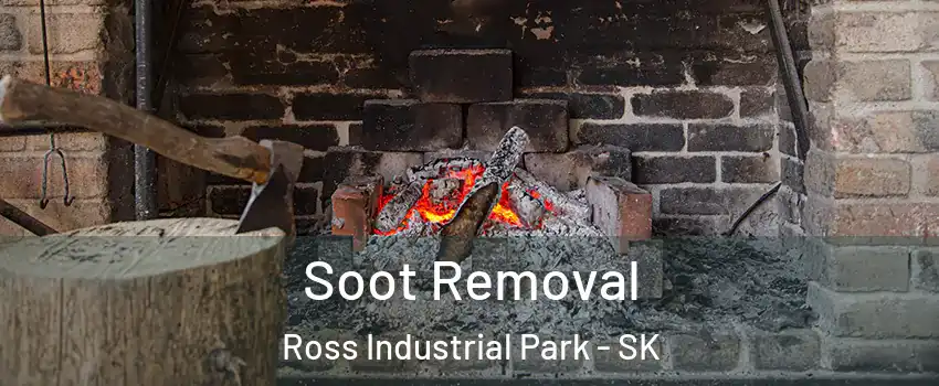  Soot Removal Ross Industrial Park - SK