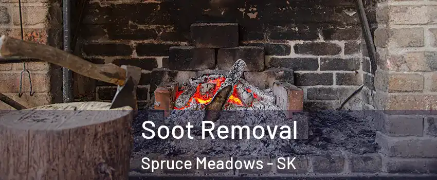  Soot Removal Spruce Meadows - SK