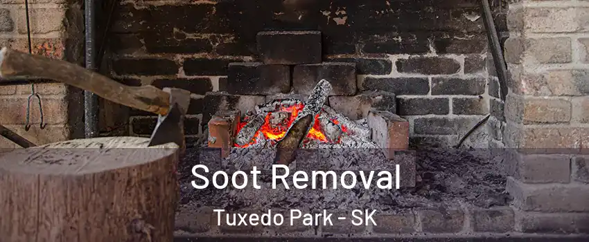  Soot Removal Tuxedo Park - SK