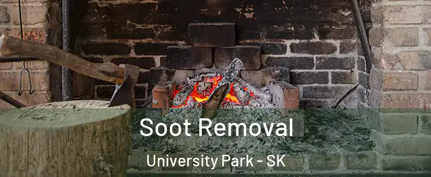  Soot Removal University Park - SK