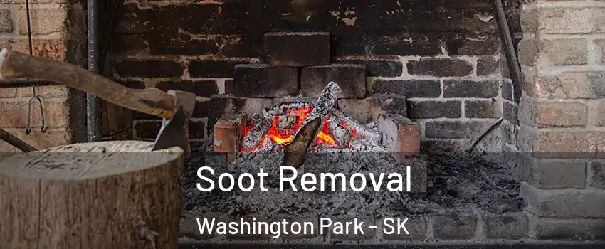  Soot Removal Washington Park - SK