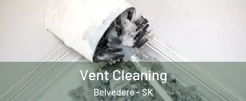  Vent Cleaning Belvedere - SK