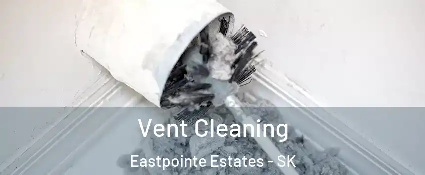  Vent Cleaning Eastpointe Estates - SK
