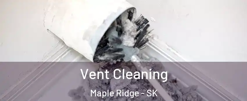  Vent Cleaning Maple Ridge - SK