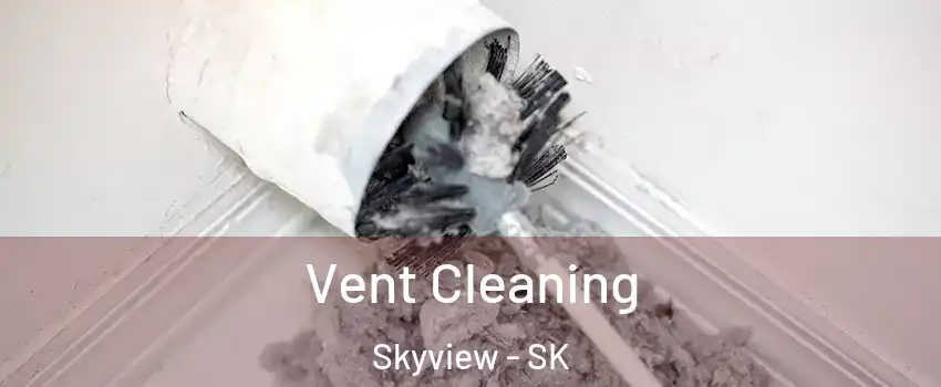  Vent Cleaning Skyview - SK