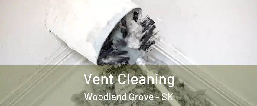  Vent Cleaning Woodland Grove - SK