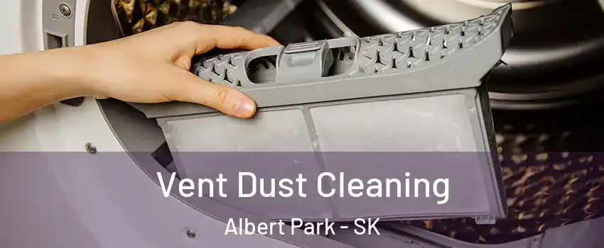  Vent Dust Cleaning Albert Park - SK