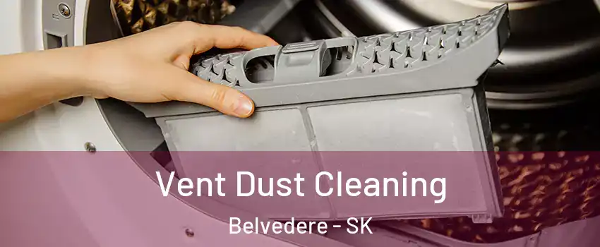  Vent Dust Cleaning Belvedere - SK