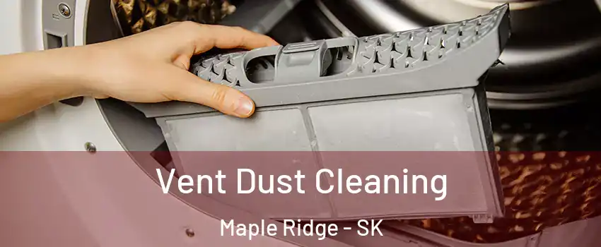  Vent Dust Cleaning Maple Ridge - SK