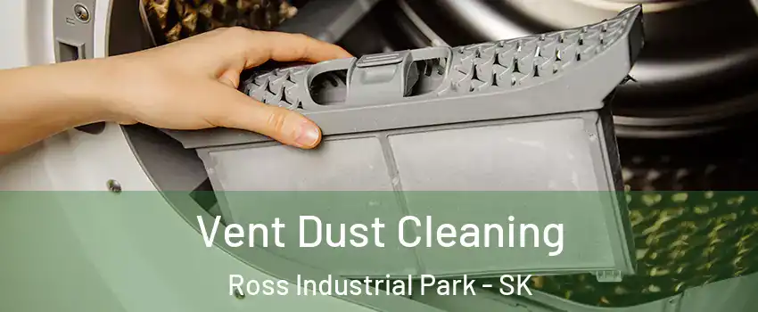  Vent Dust Cleaning Ross Industrial Park - SK