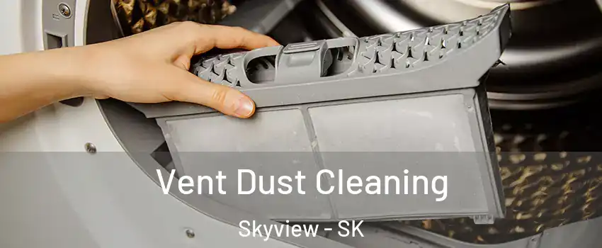  Vent Dust Cleaning Skyview - SK