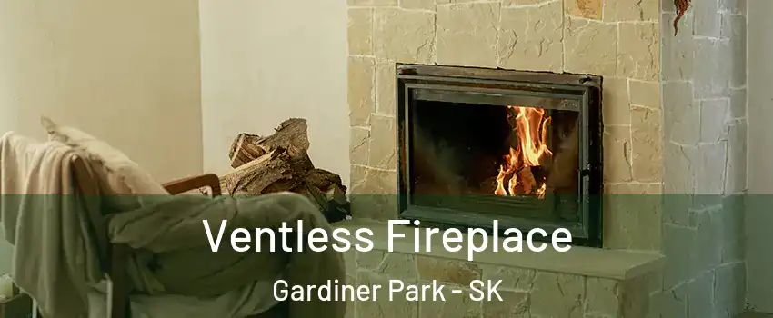  Ventless Fireplace Gardiner Park - SK