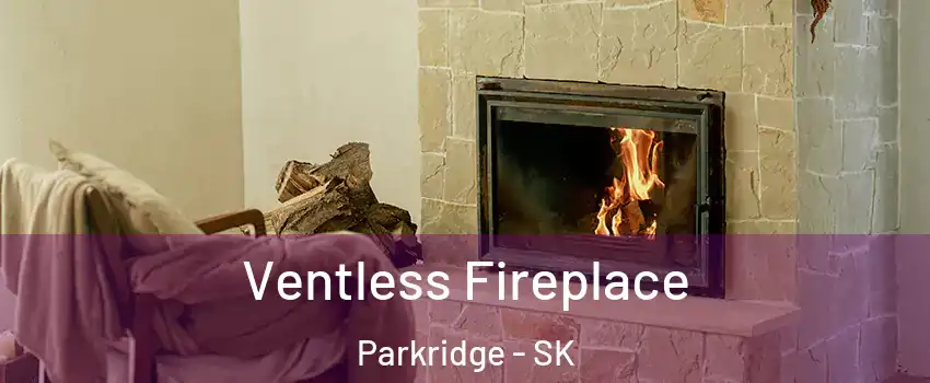  Ventless Fireplace Parkridge - SK