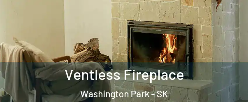  Ventless Fireplace Washington Park - SK