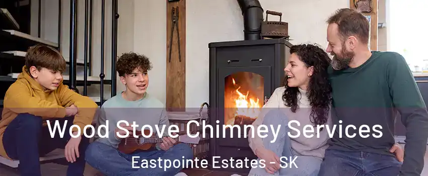  Wood Stove Chimney Services Eastpointe Estates - SK