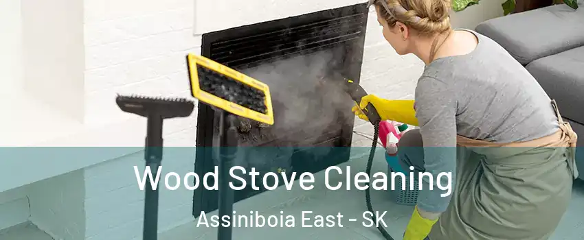  Wood Stove Cleaning Assiniboia East - SK